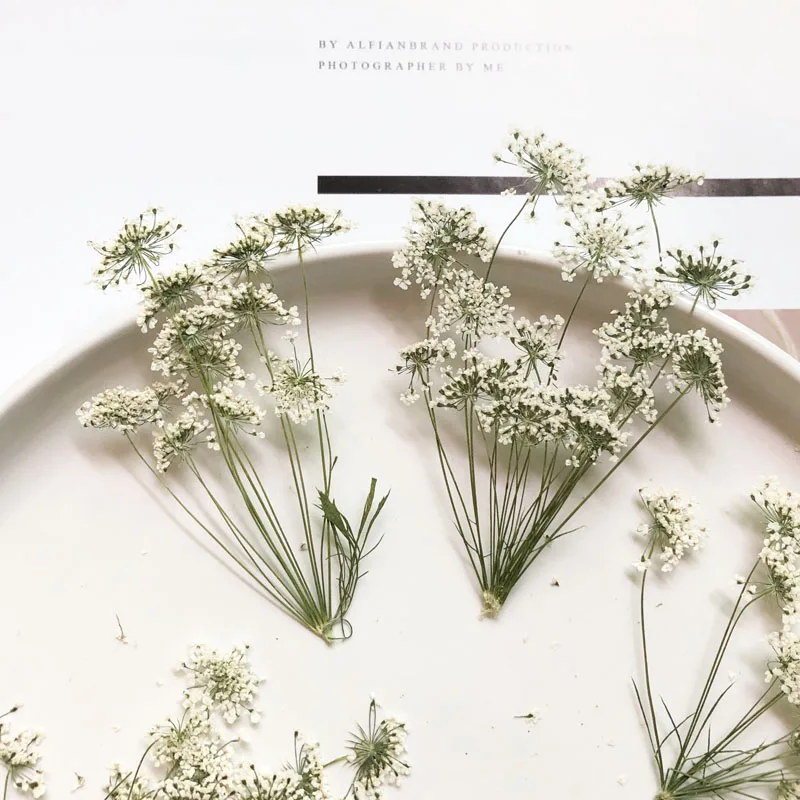 5-7 ซม./12 pcs,หิมะเล็กๆดอกไม้ - Craft Embellishment บทวิจารณ์และราคา