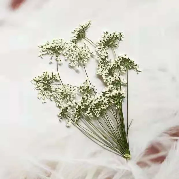 5-7 ซม./12 pcs,หิมะเล็กๆดอกไม้ - Craft Embellishment บทวิจารณ์และราคา
