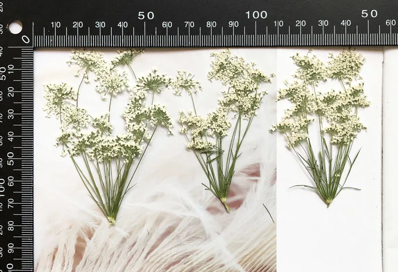 5-7 ซม./12 pcs,หิมะเล็กๆดอกไม้ - Craft Embellishment บทวิจารณ์และราคา