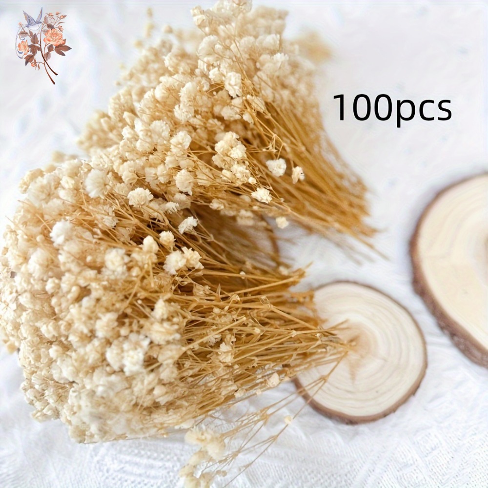 ดอกยิปโซฟิล่าแห้งขนาดเล็ก 100  - Craft Embellishment บทวิจารณ์และราคา