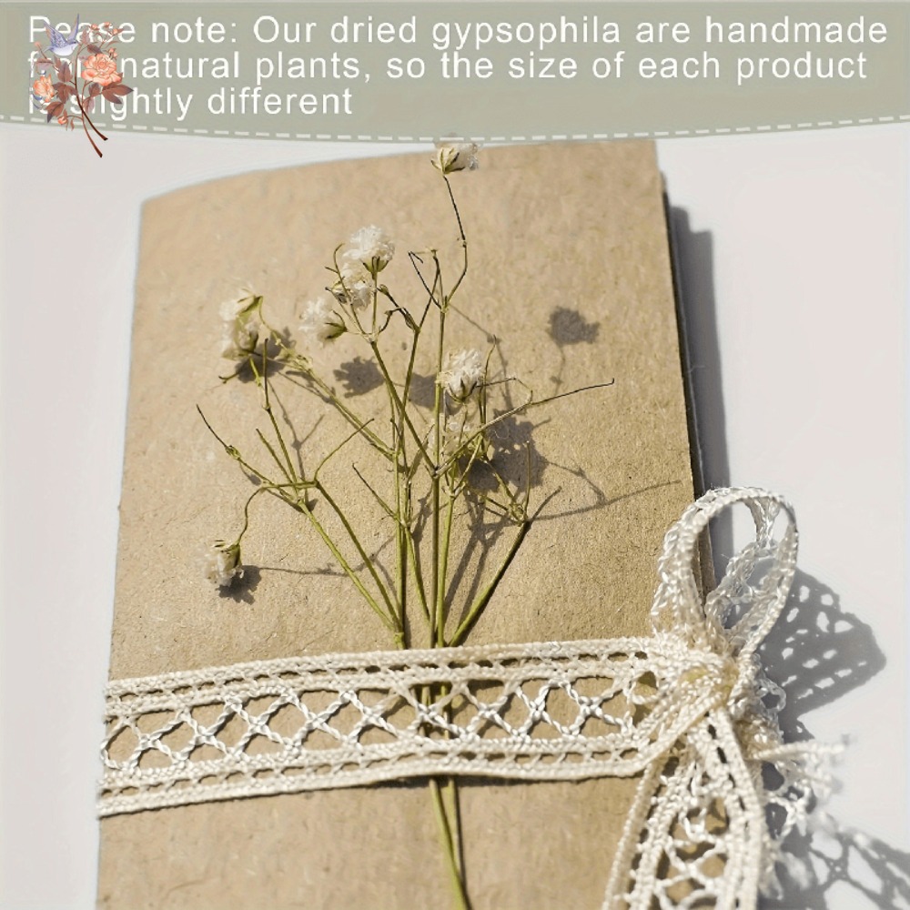 ดอกยิปโซฟิล่าแห้งขนาดเล็ก 100  - Craft Embellishment บทวิจารณ์และราคา